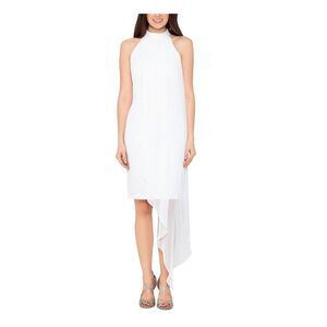 BETSY & ADAM Womens Beige Chiffon-overlay Lined Sleeveless Formal Dress 10